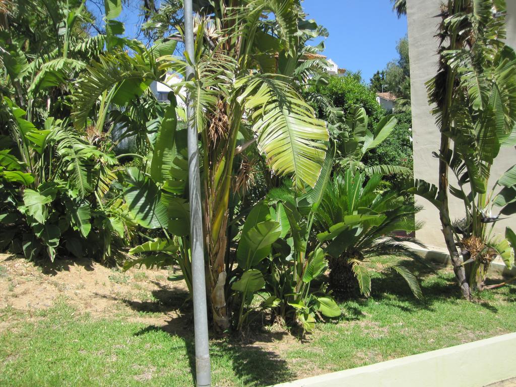Fan Flat Torremolinos Exterior foto